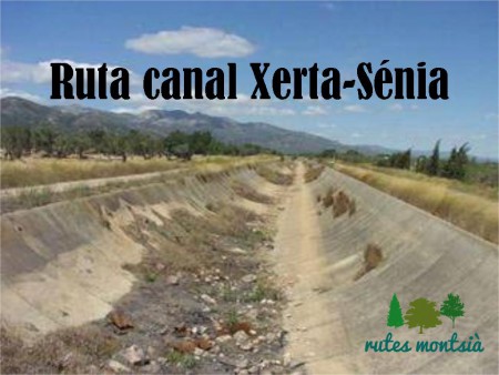 Canal Xerta-Sénia